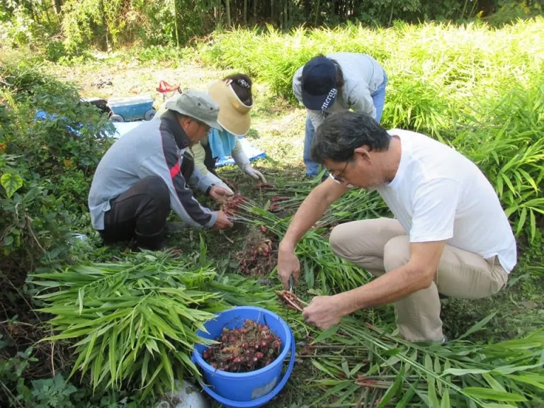 特定非営利活動法人チョロギ村