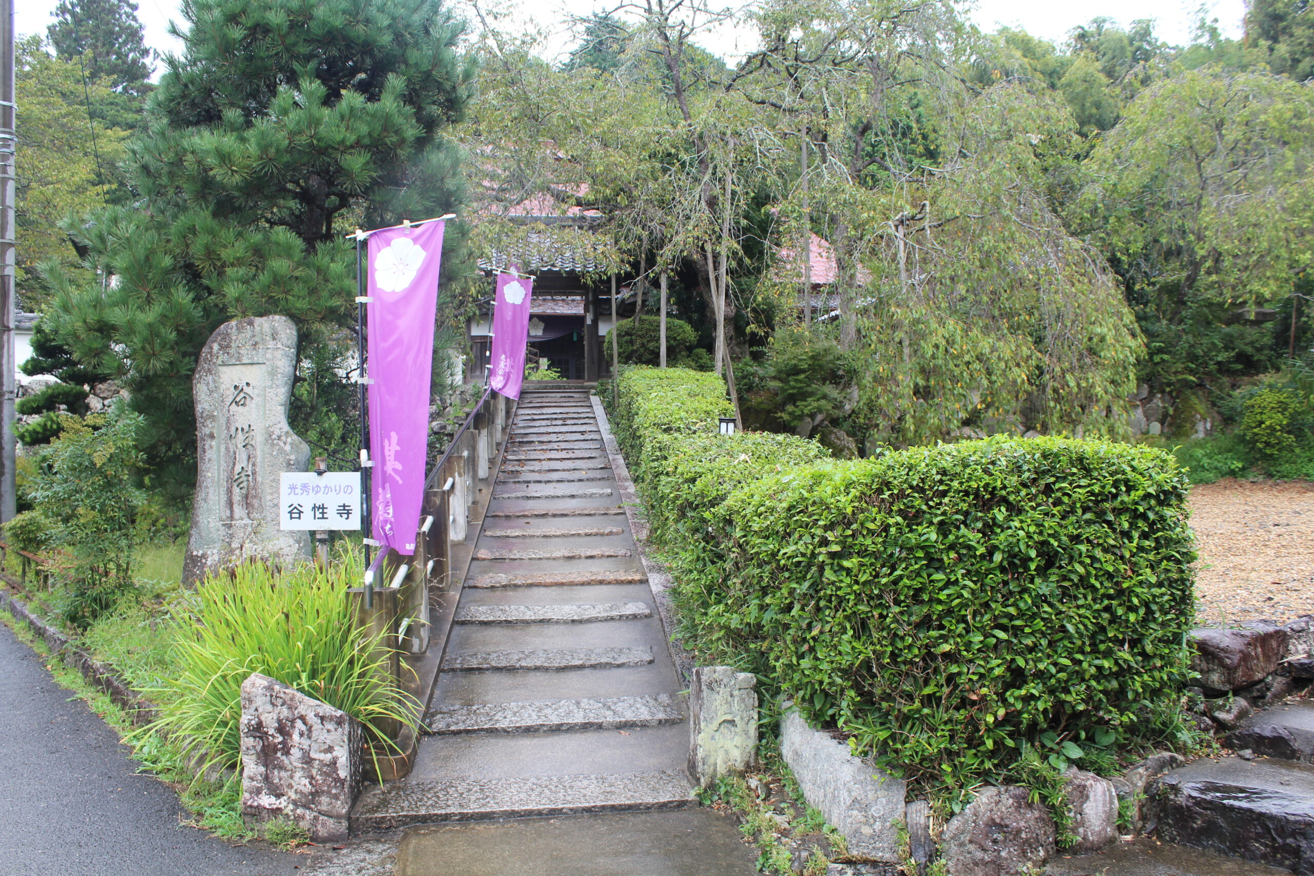 谷性寺（光秀寺）