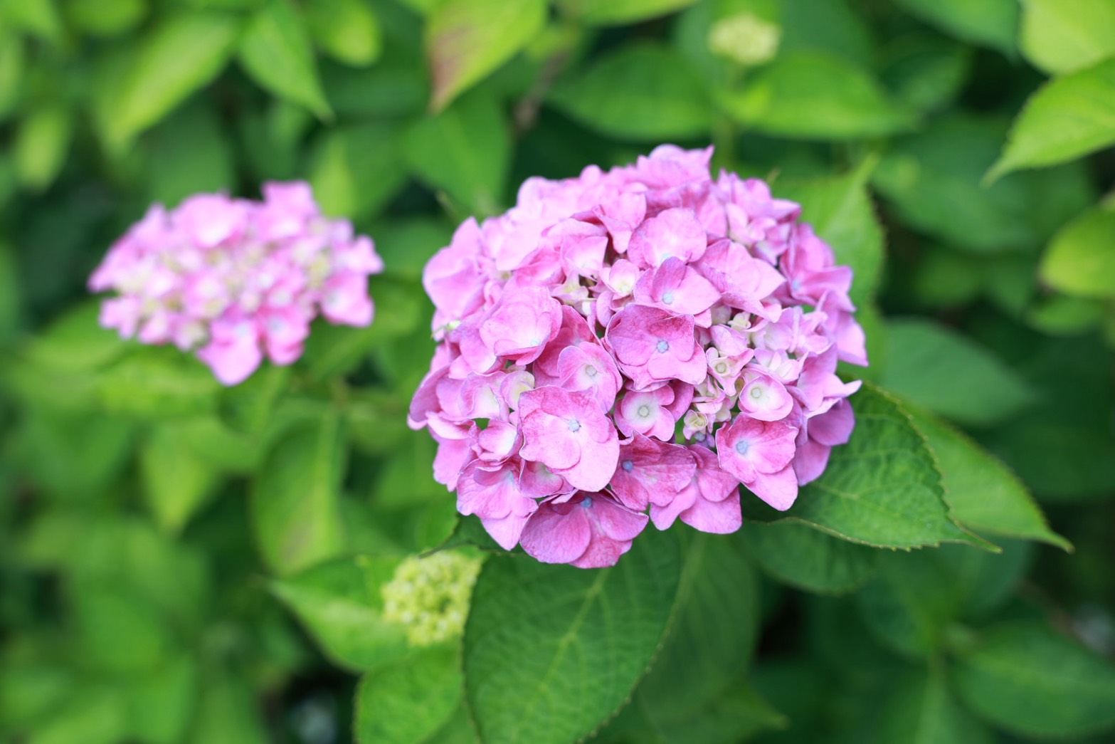 <br />
<b>Warning</b>:  Undefined variable $alt in <b>/home/xs966934/satoyama-navi.com/public_html/wp-content/themes/satoyama/index.php</b> on line <b>30</b><br />
