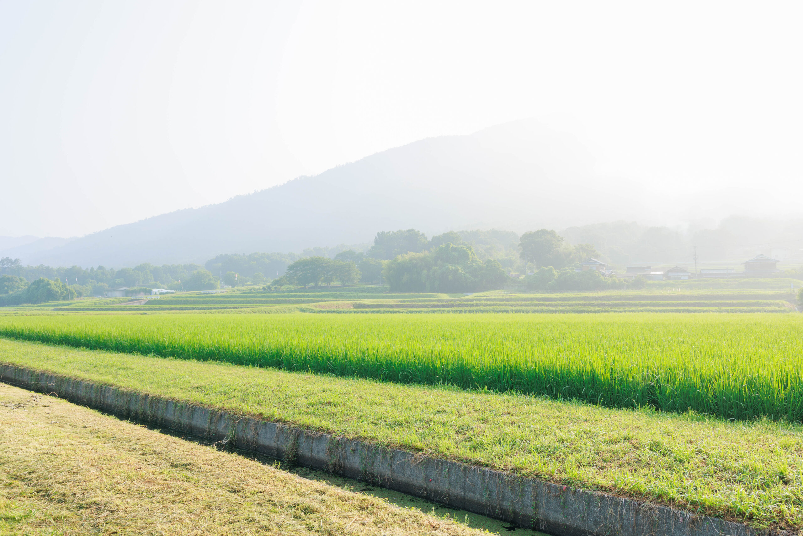 <br />
<b>Warning</b>:  Undefined variable $alt in <b>/home/xs966934/satoyama-navi.com/public_html/wp-content/themes/satoyama/index.php</b> on line <b>30</b><br />
